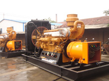 滨州发电机组的频率规格是如何确定的？